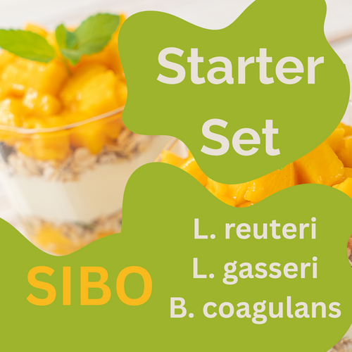 Starter-Set L. reuteri, L. gasseri, B. coagulans-Joghurt | SIBO-Joghurt