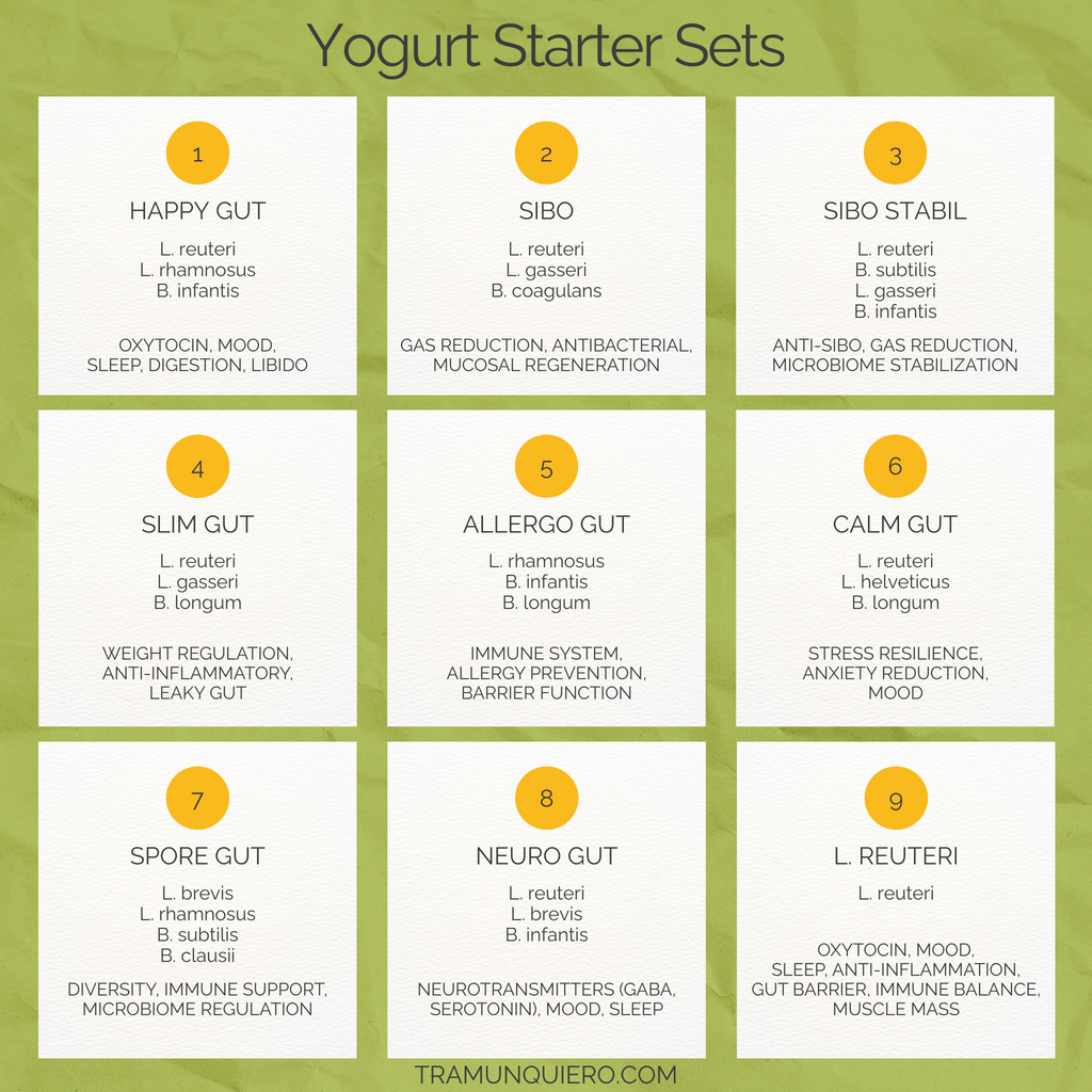 Starter-Set „Neuro Gut" | L. reuteri, L. brevis, B. infantis-Joghurt